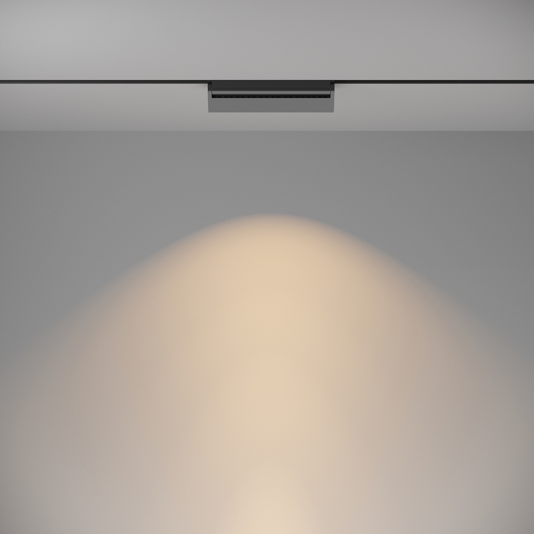 Трековый светильник Technical TR013-2-20W3K-B