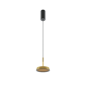 Подвесной светильник Maytoni MOD041PL-L15G3K