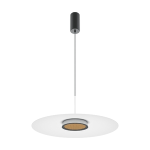 Подвесной светильник Maytoni MOD041PL-L15W3K1