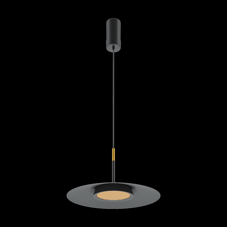 Подвесной светильник Maytoni MOD041PL-L15B3K1