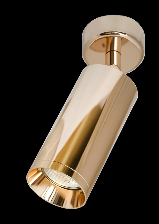 Потолочный светильник Technical C017CW-01RG