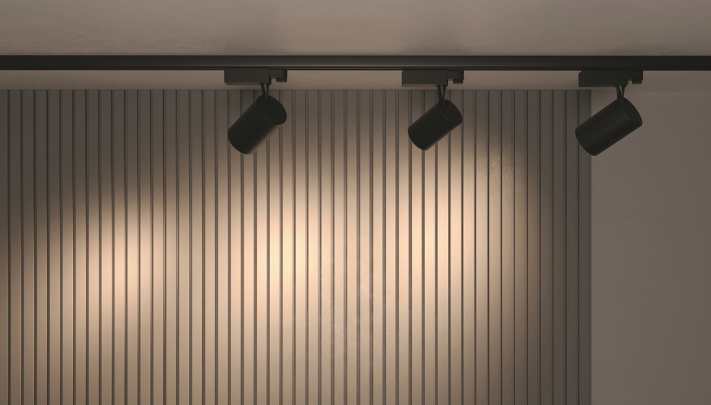 Трековый светильник Technical TR029-3-30W3K-B